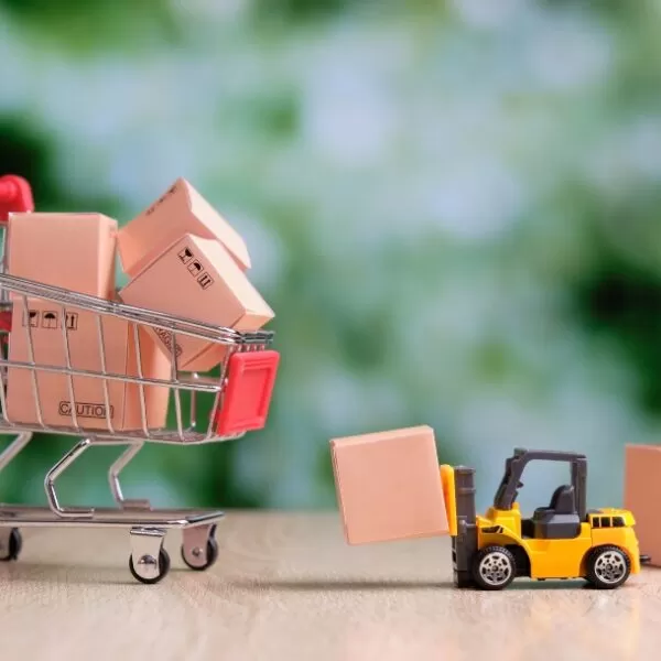 Временный вывоз (ЭК 23)