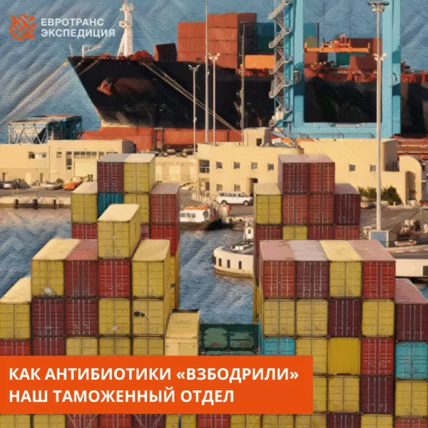 Как антибиотики «взбодрили» наш таможенный отдел